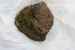 Hand specimen